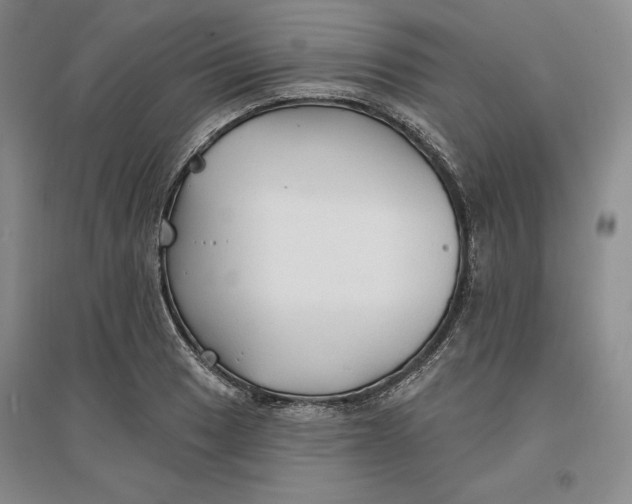 X0000096971033200802291117