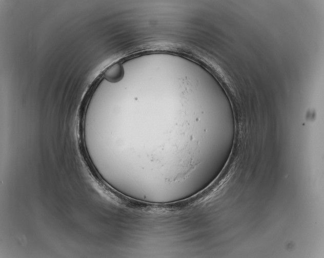 X0000096971034200802291117