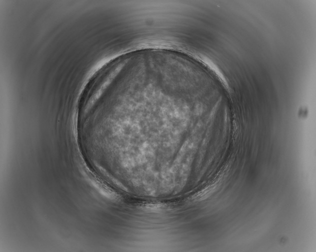 X0000096971035200802291117