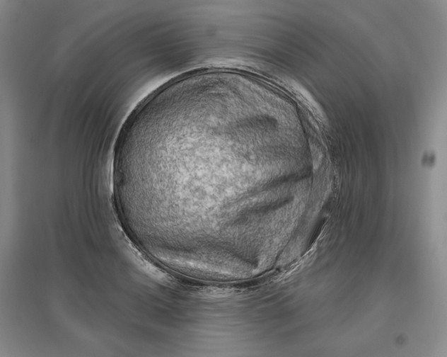 X0000096971036200802291117