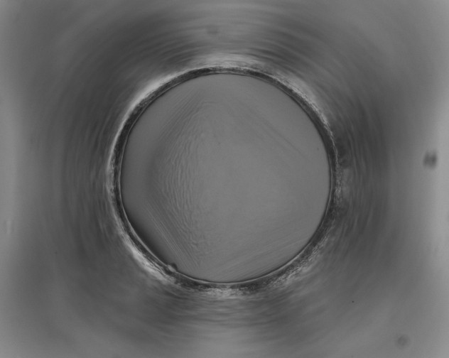 X0000096971037200802291117