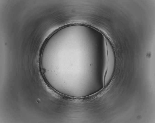 X0000096971038200802291117