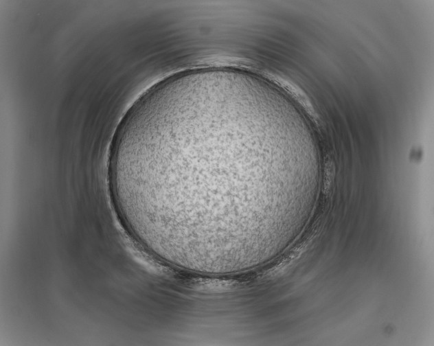 X0000096971039200802291117