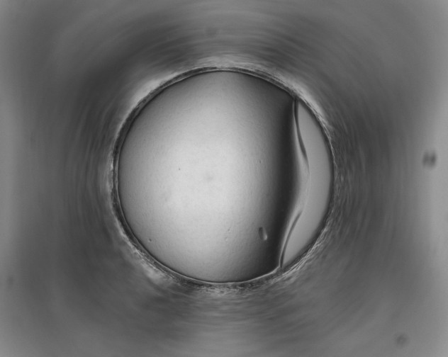 X0000096971040200802291117