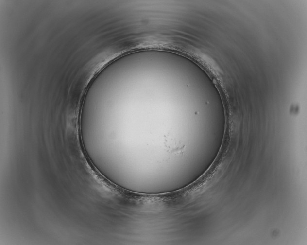 X0000096971041200802291117