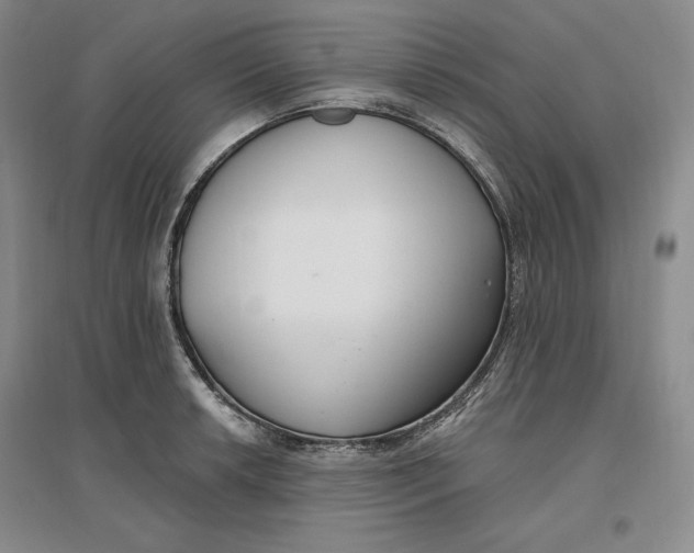 X0000096971042200802291117