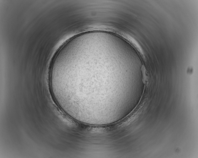 X0000096971043200802291117