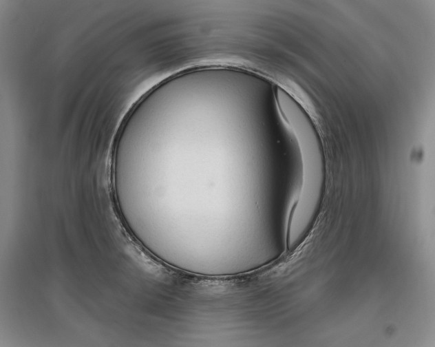 X0000096971044200802291117