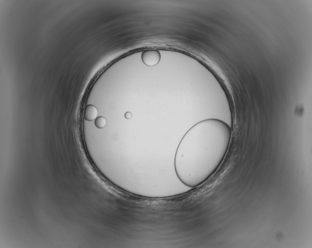 X0000096971045200802291117