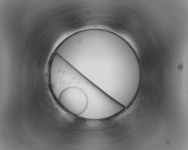 X0000096971046200802291117