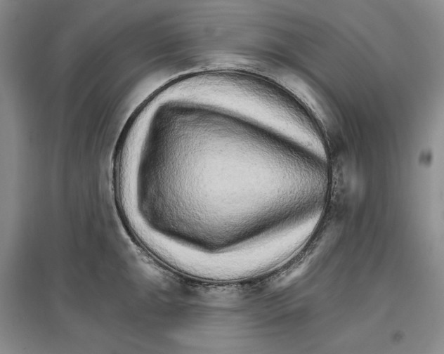 X0000096971047200802291117