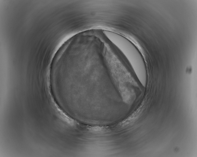 X0000096971048200802291117