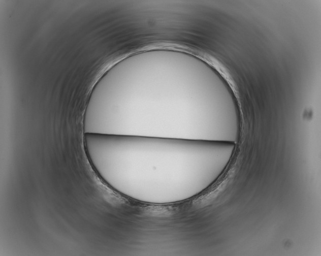 X0000096971049200802291117