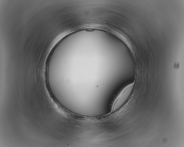 X0000096971050200802291117