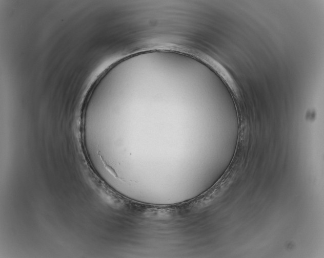 X0000096971051200802291117