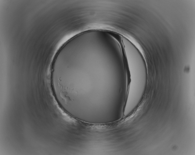 X0000096971053200802291117