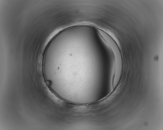 X0000096971054200802291117