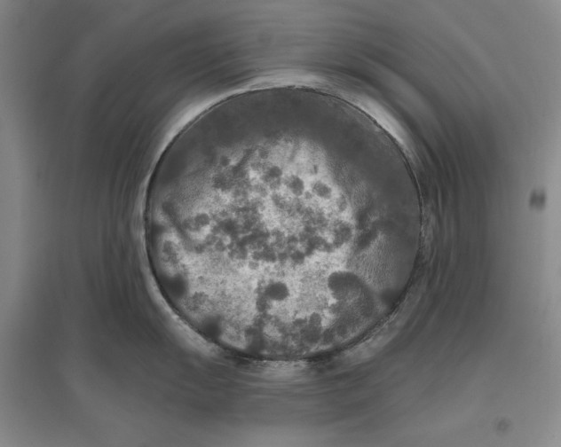 X0000096971055200802291117