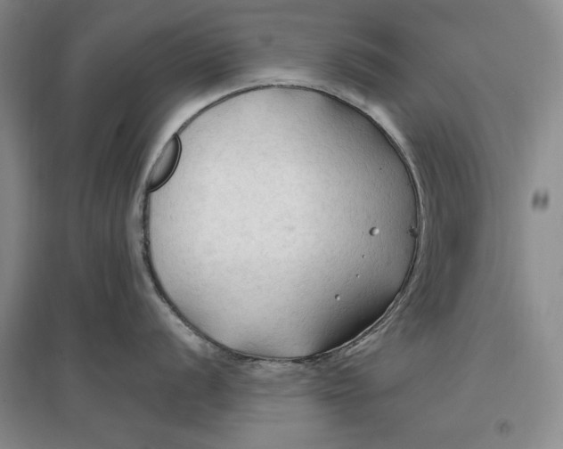 X0000096971056200802291117