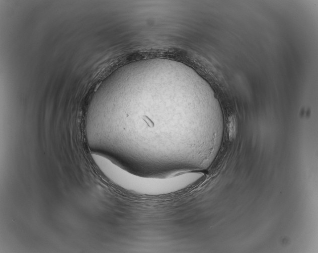 X0000096971059200802291116