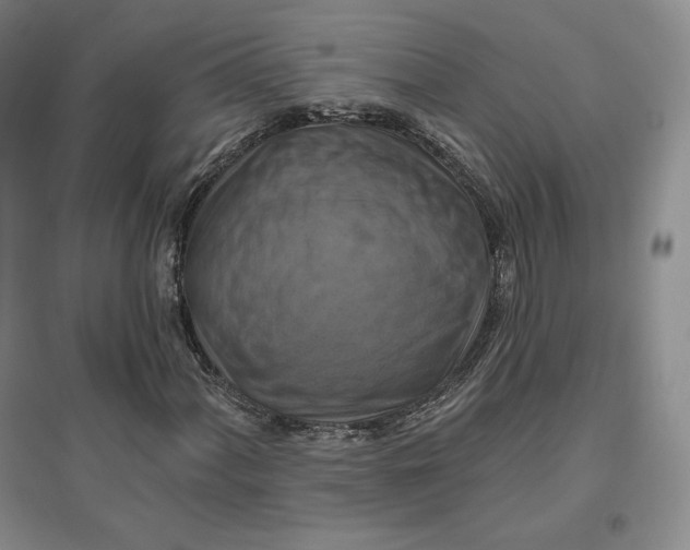 X0000096971060200802291116