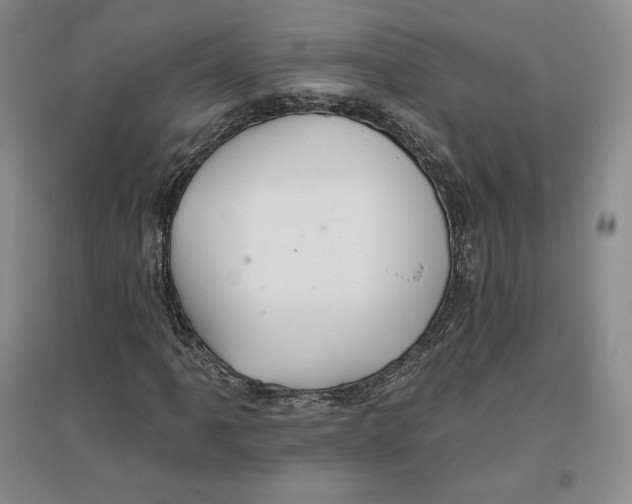 X0000096971061200802291116