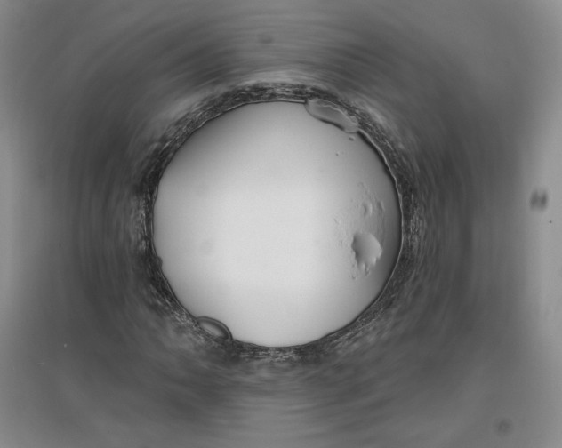 X0000096971062200802291116