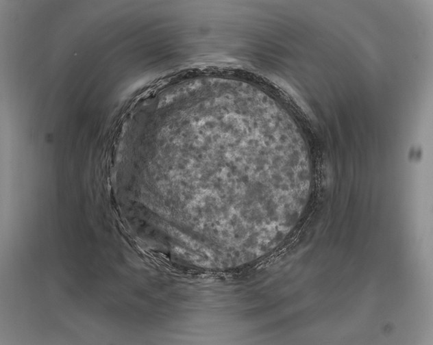 X0000096971063200802291116