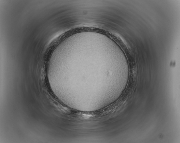 X0000096971064200802291116