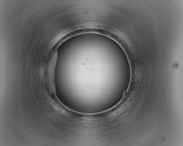 X0000096971065200802291116