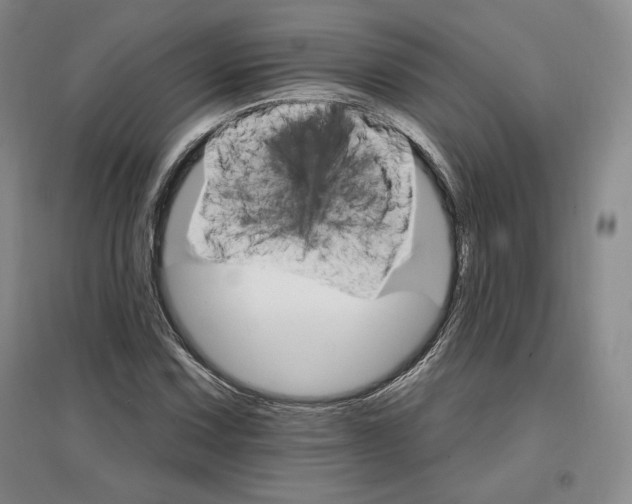 X0000096971067200802291116