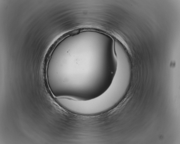 X0000096971068200802291116