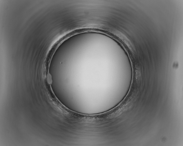 X0000096971069200802291116