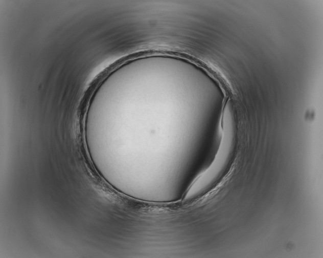 X0000096971070200802291116