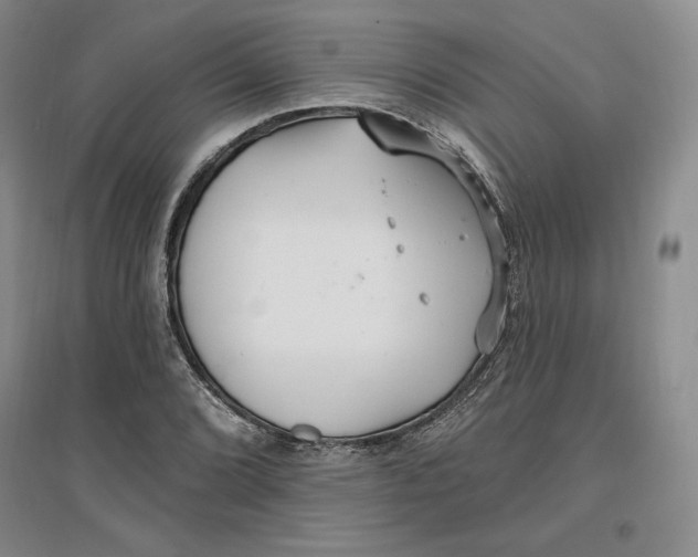 X0000096971072200802291116