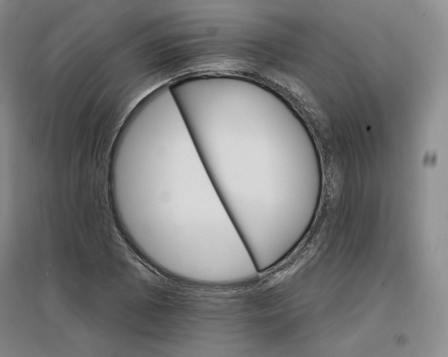 X0000096971073200802291116