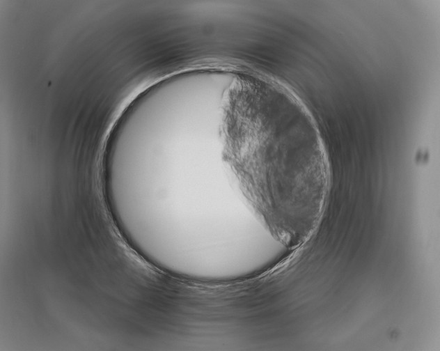 X0000096971075200802291116