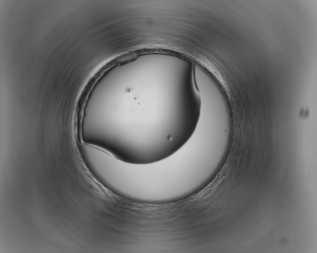 X0000096971076200802291116