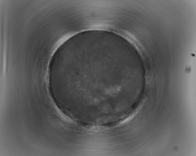 X0000096971077200802291116