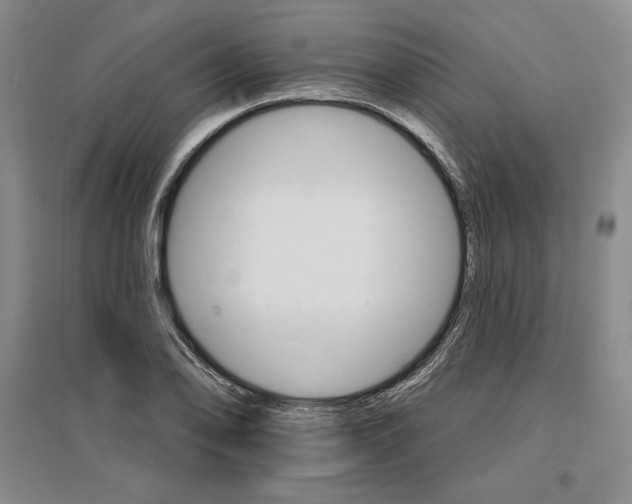 X0000096971078200802291116