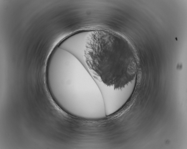 X0000096971079200802291116