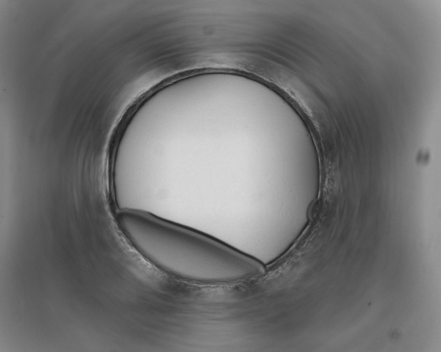 X0000096971080200802291116