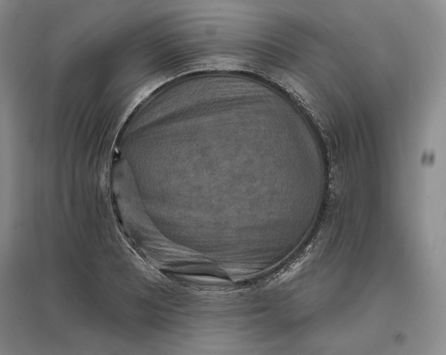 X0000096971081200802291116