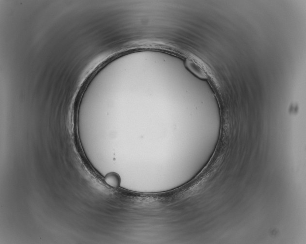 X0000096971082200802291116