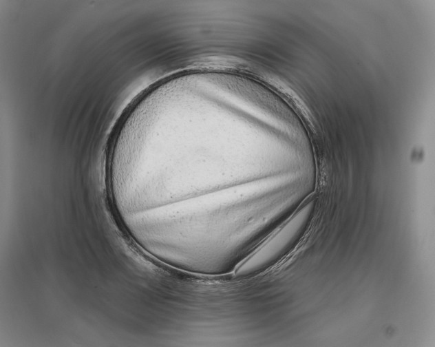 X0000096971083200802291116