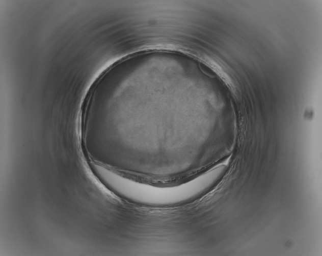 X0000096971084200802291116