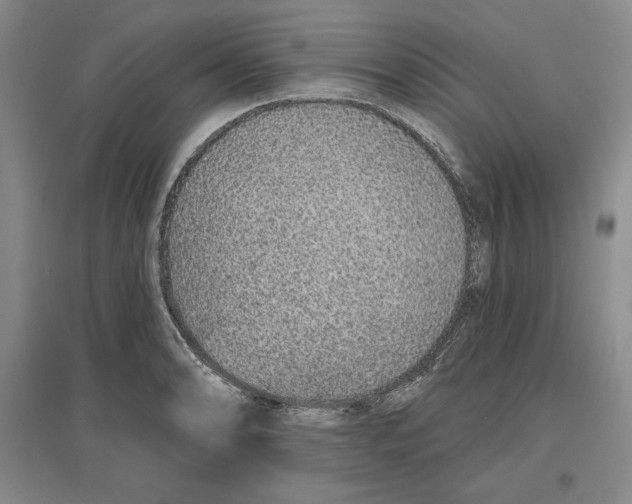 X0000096971086200802291116