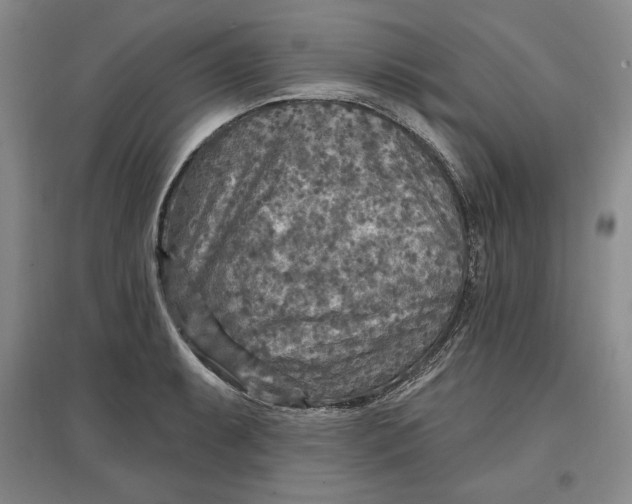 X0000096971087200802291116