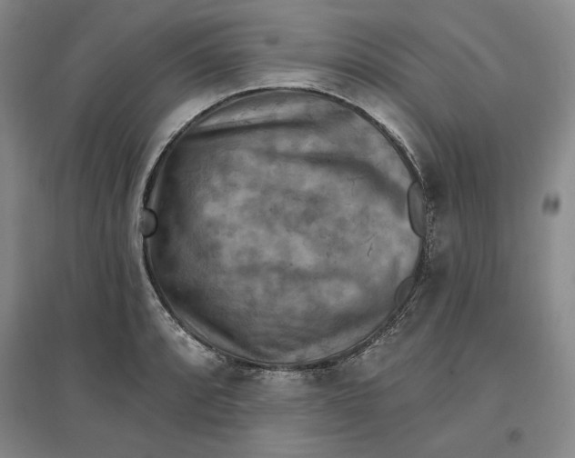 X0000096971088200802291116