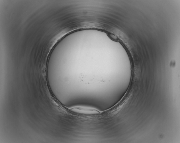 X0000096971089200802291116